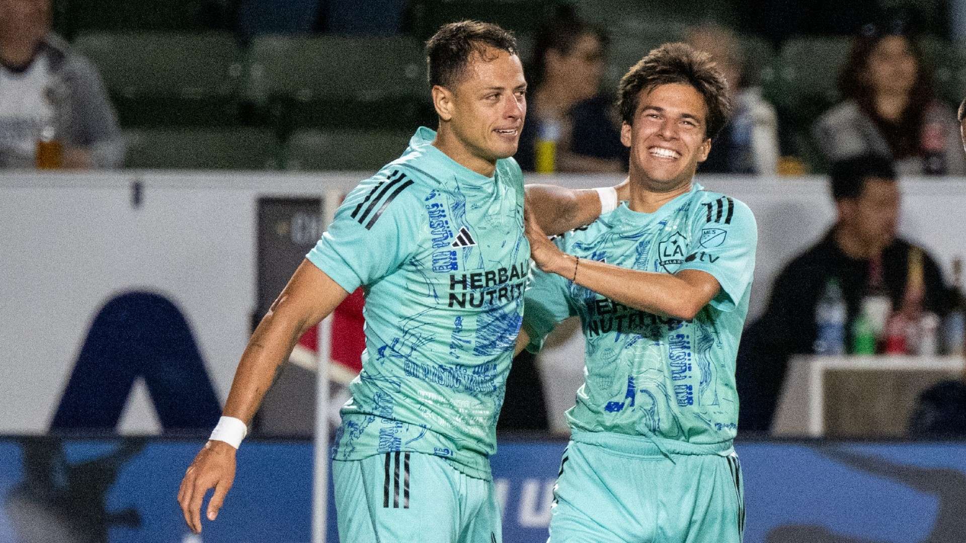 北京国安的 北京国安的