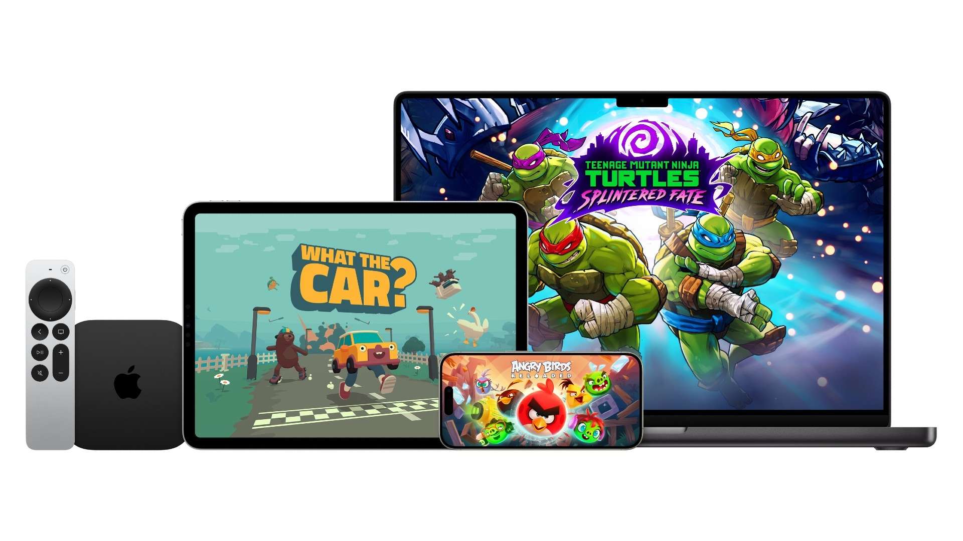 星的关注点 星的关注点