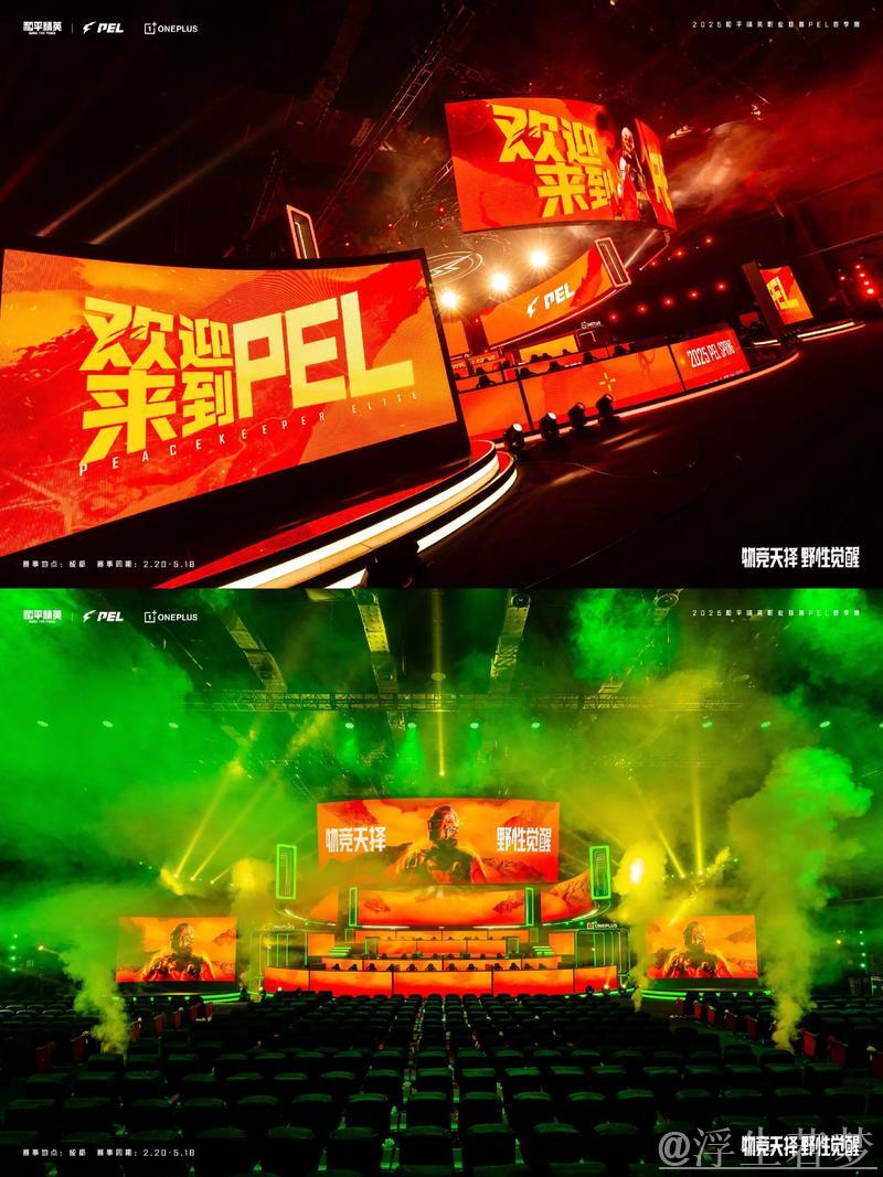 PGC 2025与PMGC 2025开幕式盛大开启：双鸡赛事共聚一堂共享舞台